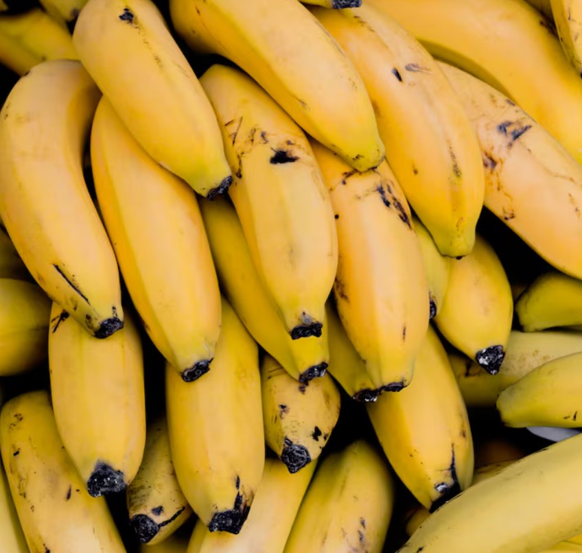 Fresh Bananas - APEX FOODS