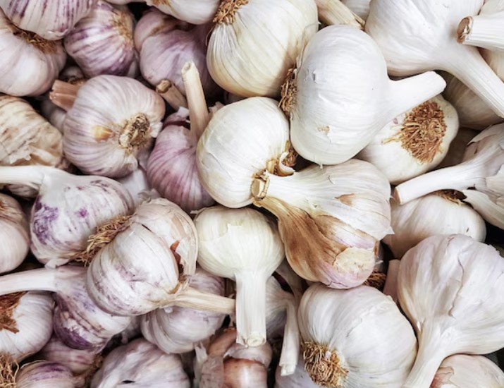 Fresh Garlic - APEX FOODS