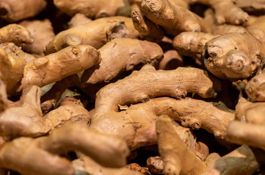 Fresh Ginger - APEX FOODS