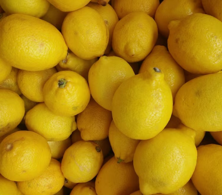 Fresh Lemons - APEX FOODS