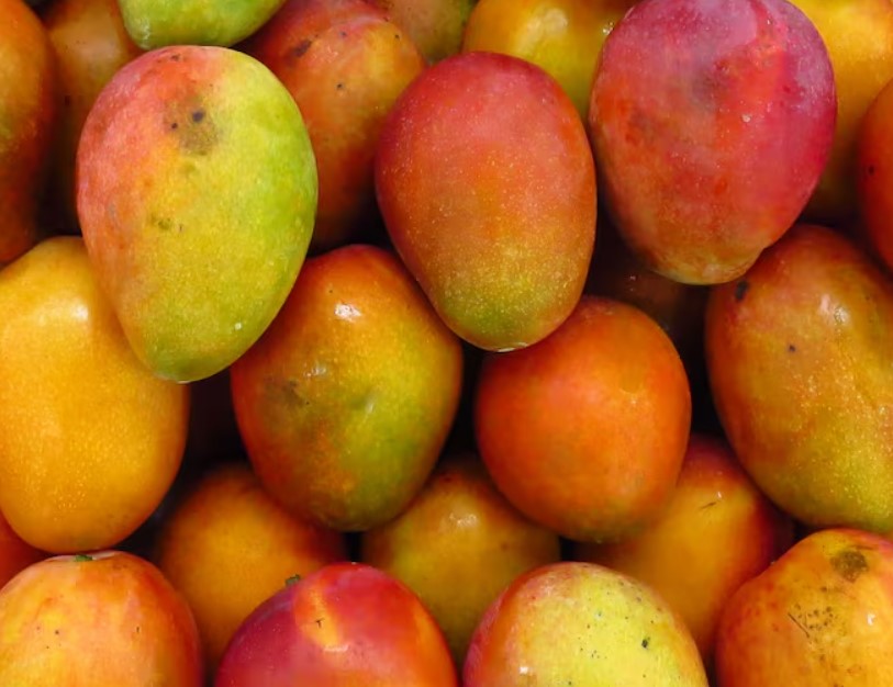 Fresh Mangoes - APEX FOODS