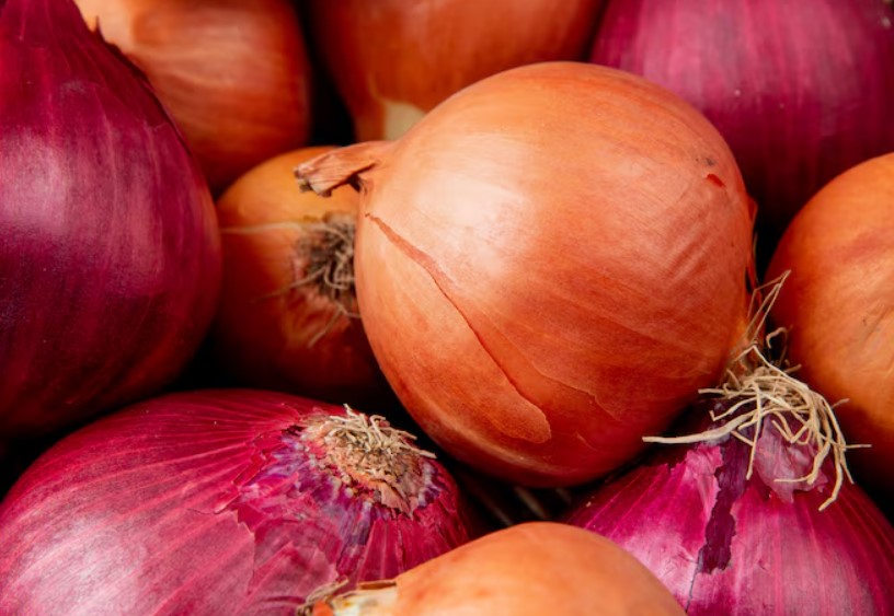 Fresh Onions - APEX FOODS