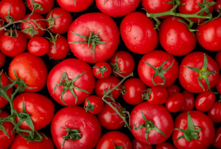 Fresh Tomatoes - APEX FOODS